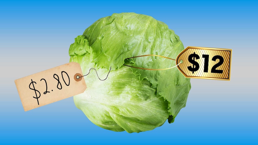 A head of iceberg lettuce with two price tags attached - one saying $2.80 and another saying $12.