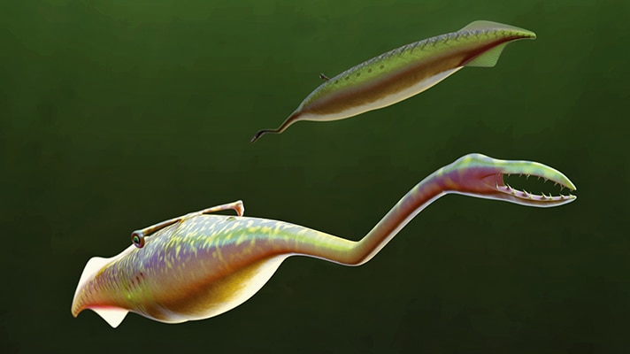 Reconstruction of the Tully Monster