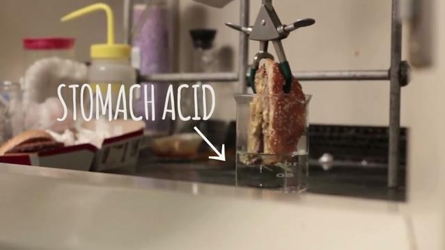 Half of a hamburger held by a clamp and lowered into a beaker of fluid, text onscreen says 'stomach acid'.