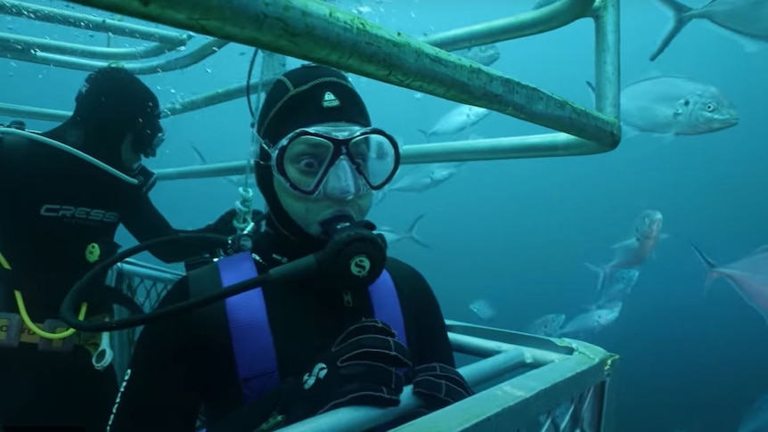 two scuba divers in a cage, one looking forward with wide eyes, the other with back to viewer underwater with fish