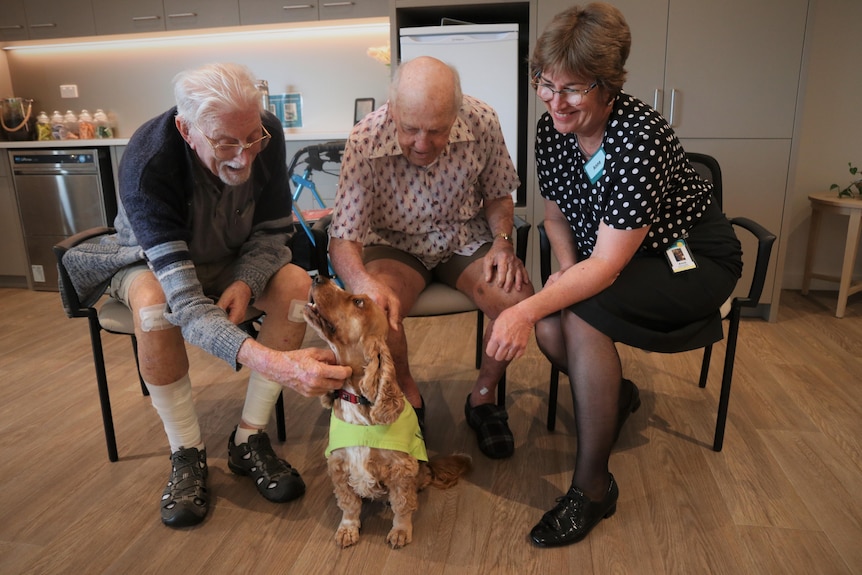 Three people sit on chairs and pat a dog on the ground. 