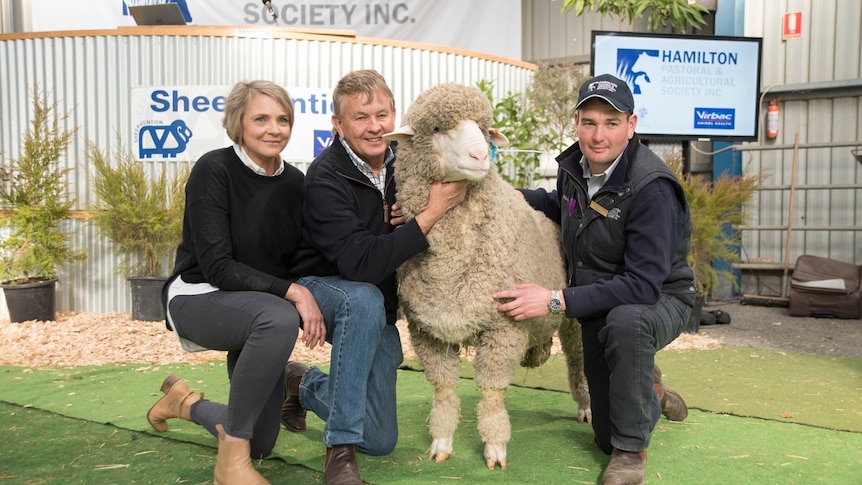 People kneeling with a ram