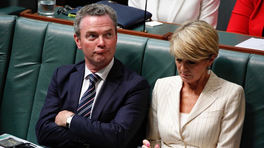 Christopher Pyne sits next to Julie Bishop and pulls a funny face during question time, November 22, 2016.