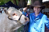 A cow stands next to a young boy in a blue shirt and black cowboy hat.