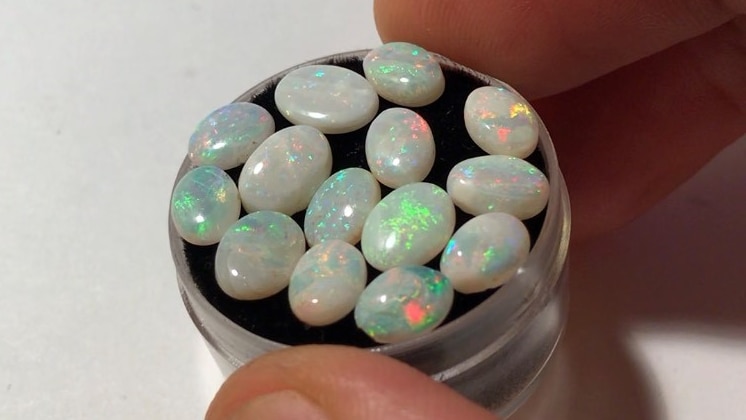 Small white-based opal with bright green, red, yellow and blue flashes sits in a small container ready for sale.