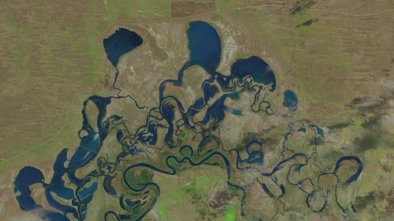 Satellite photo of the Chowilla floodplain shows high flow inundation