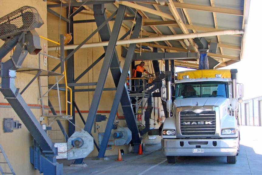 Loading a truck at Devonport silos