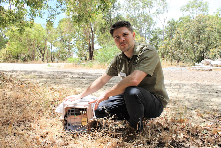 Dean Huxley crouching down in bushland with small cage