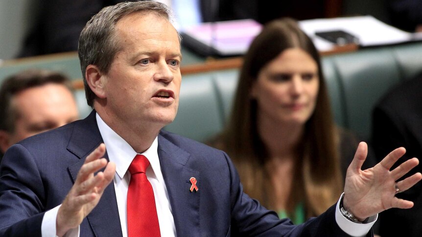 Opposition Leader Bill Shorten speaks during Question Time at Parliament House.