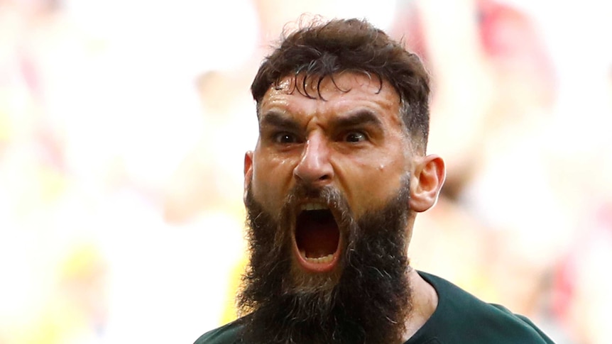 Socceroos captain Mile Jedinak celebrates after scoring a penalty against Denmark at the 2018 World Cup