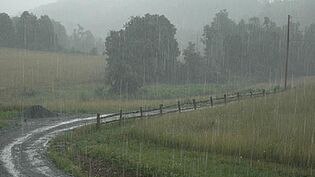 Farm rain