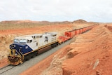 Fortescue Metals Group train