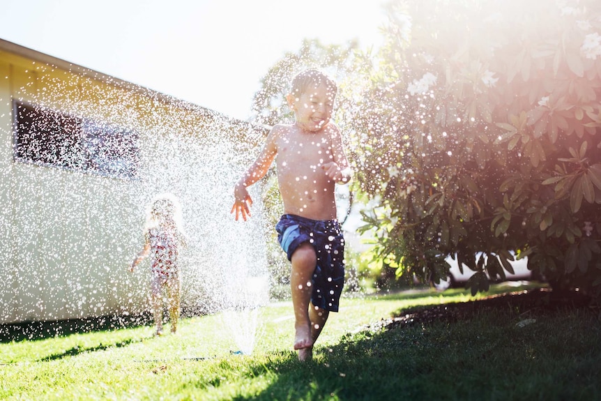 Children playing in a sprinkler on the grass.