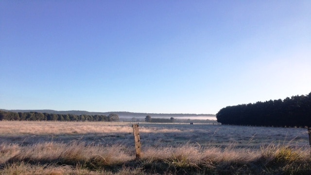 A frost morning at Glengarry in Gippsland.