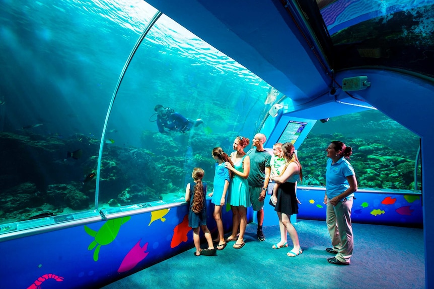 A family of six and an aquarium guide stand looking through the glass at a diver, coral and tropical fish