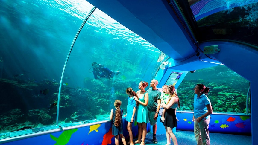 A family of six and an aquarium guide stand looking through the glass at a diver, coral and tropical fish