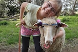 Lola Perriman and her pet lamb Daisy, junior winner in the best pet, Virtual Ag Show Sep 2020