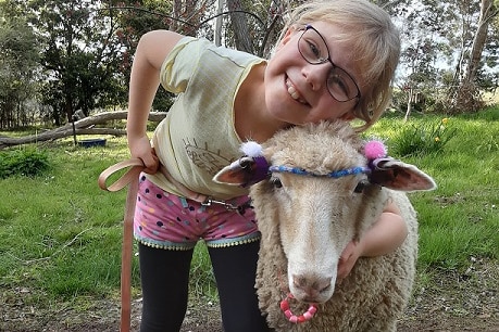 Lola Perriman and her pet lamb Daisy, junior winner in the best pet, Virtual Ag Show Sep 2020
