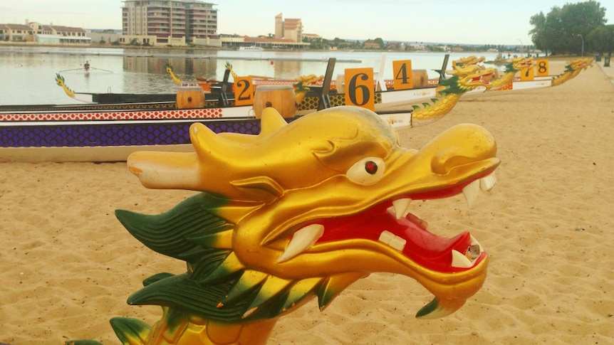 Dragon boats on the shore at West Lakes