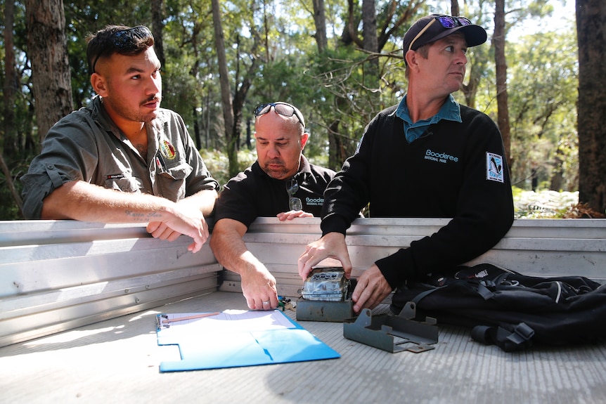 Three men stand leaning on the back of a ute tray looking at equipment and talking with a forest in the background