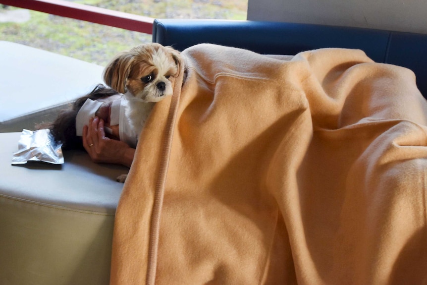 A local resident rests with a pet dog at an evacuation centre.