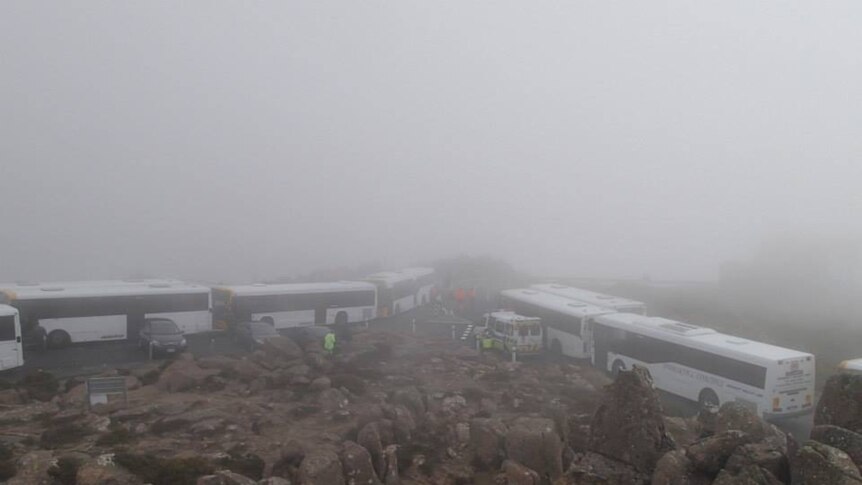 Buses on the pinnacle of Mount Wellington in Hobart