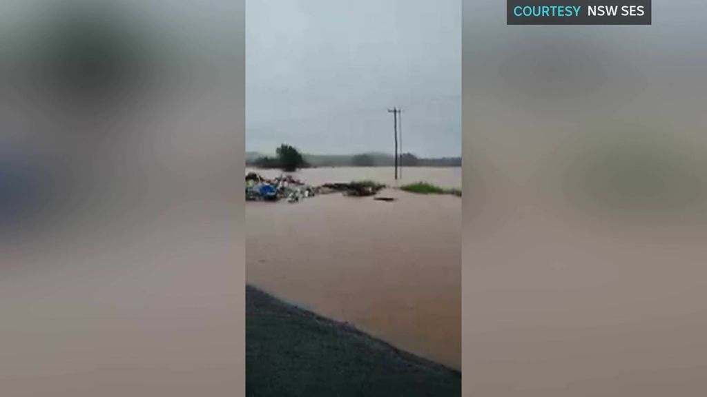 Play Video. Duration: 19 seconds