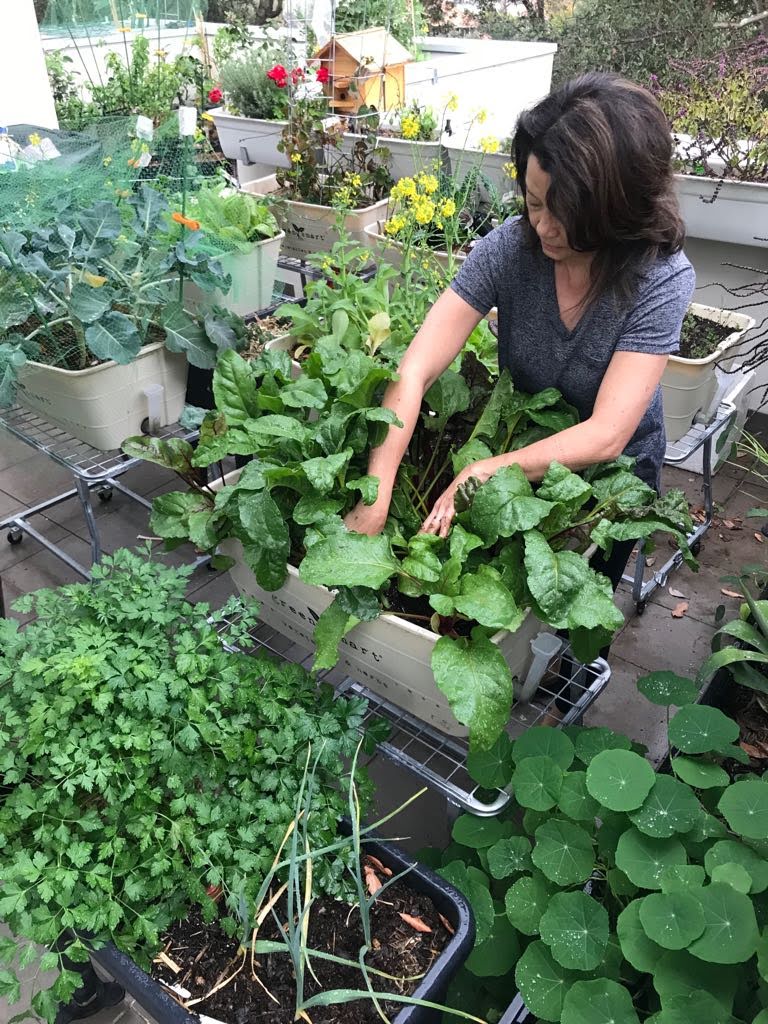A woman in a dark gray shirt tending to vegetables on a balcony garden.