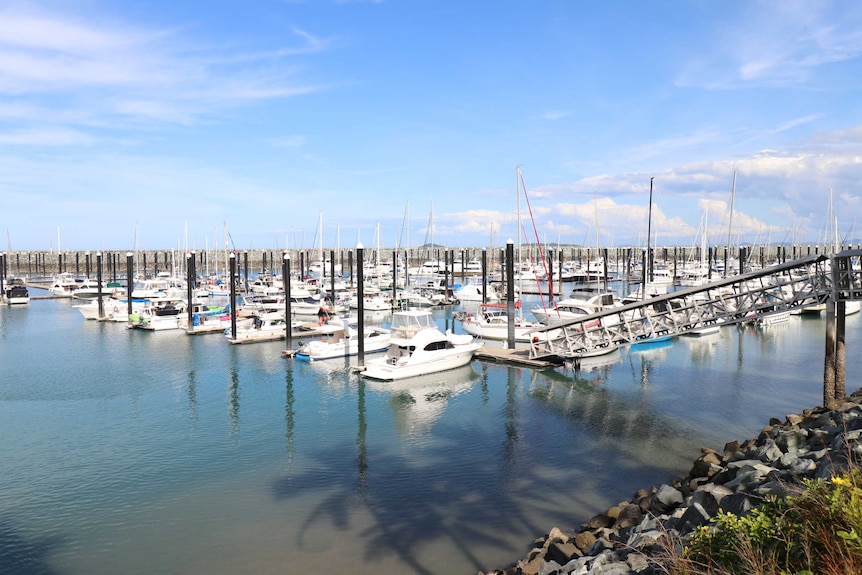 Boats berthed in a marina