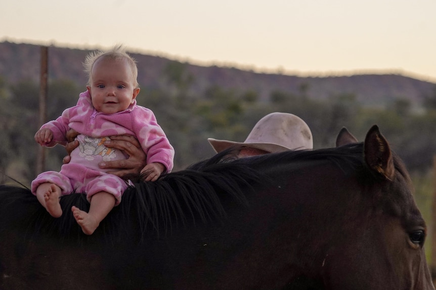 A baby sits on top of a horse.