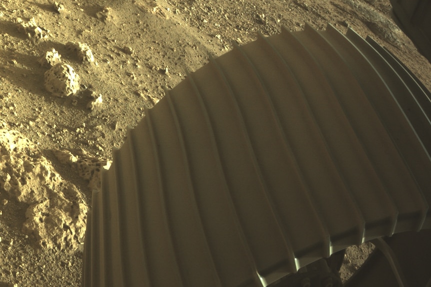 High-res imagery from one of the wheels of the Perseverance rover on Mars.