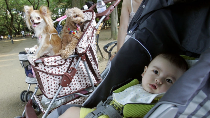 Move over, baby ... dogs now outnumber children under 10 in Japan.