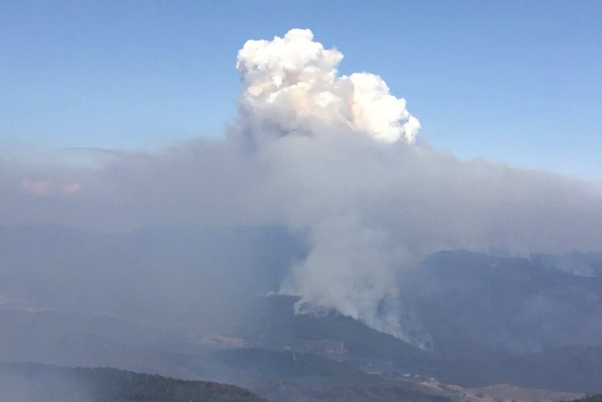 A huge column of white bushfire smoke over Mount Buffalo.