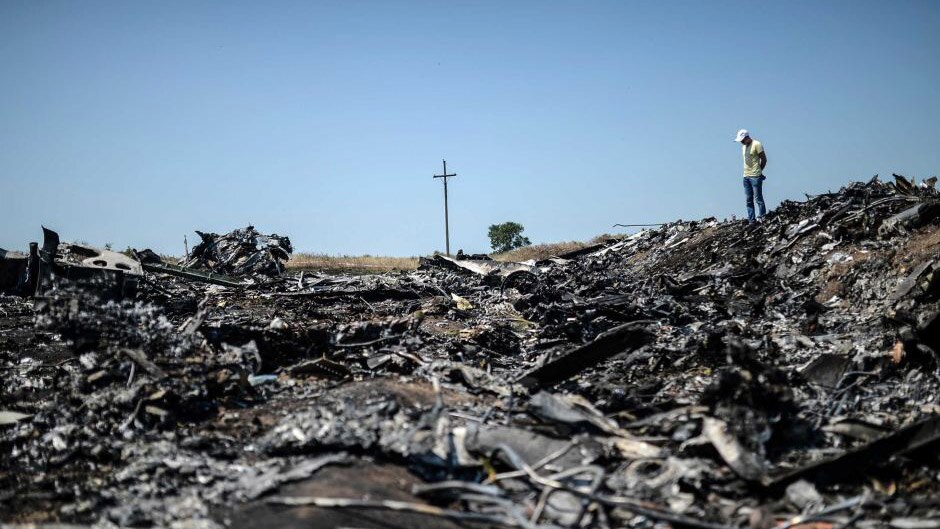 A man stands at the crash site of the Malaysia Airlines flight MH17.