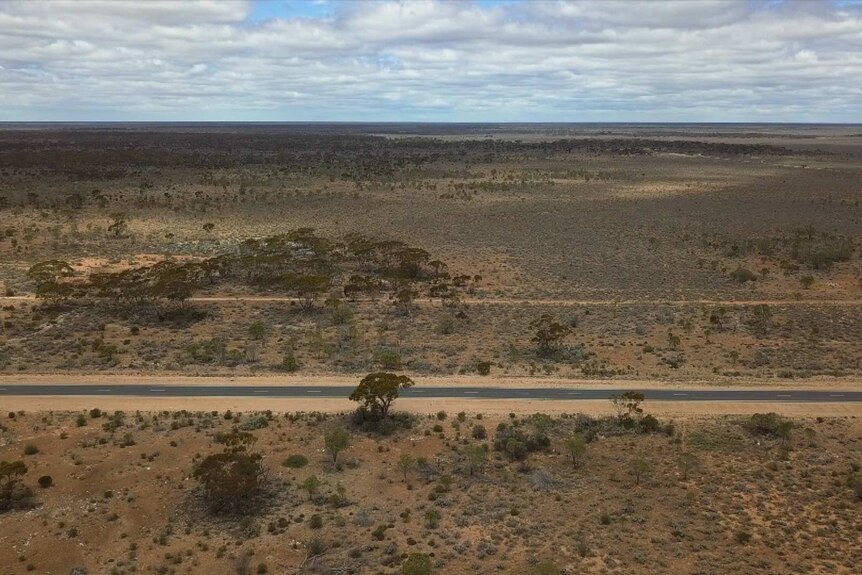 A stretch of road in sparse shrubby desert.