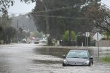 Car submerged in water on a street