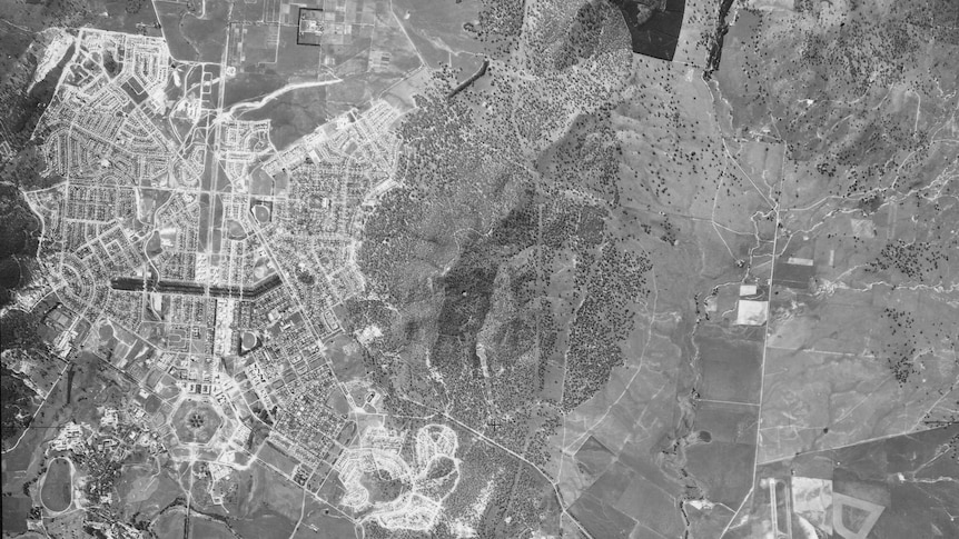 Canberra from the air in 1959.