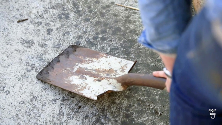 A spade edge being sharpened on concrete.