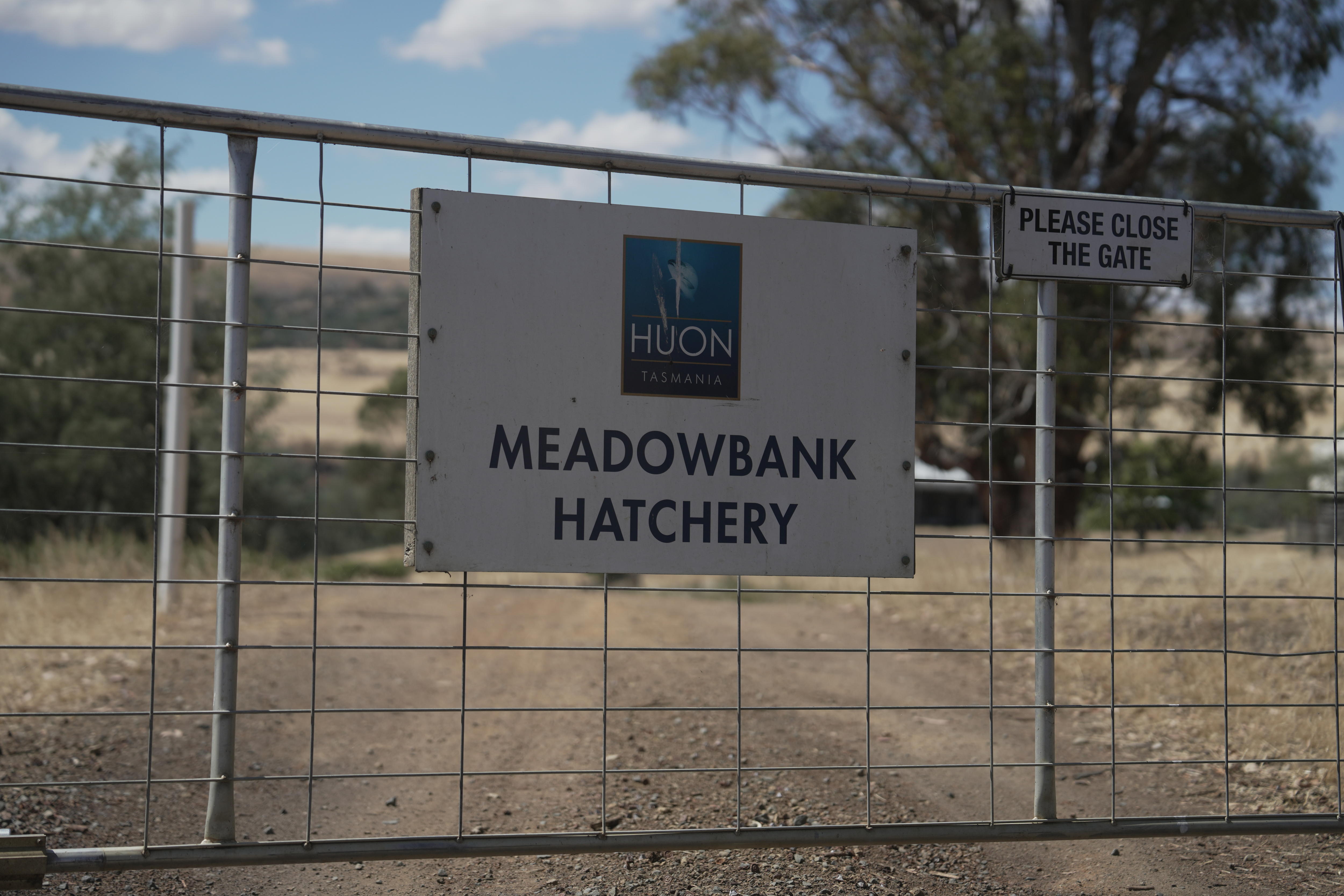 A gate to a property with a sign featuring the Huon Aquaculture logo and 'Meadowbank Hatchery'