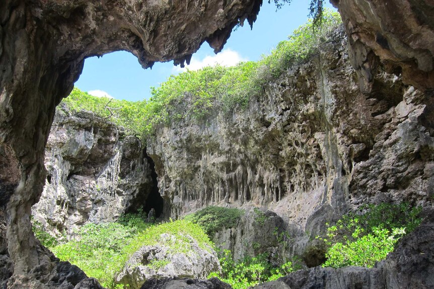 Looking through a frame of limestone geological formations, lush tropical greenery billows the top of rock formations.