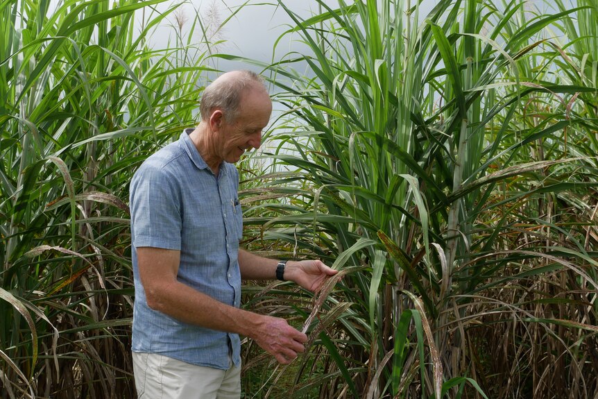 Robert Magarey with sugar cane