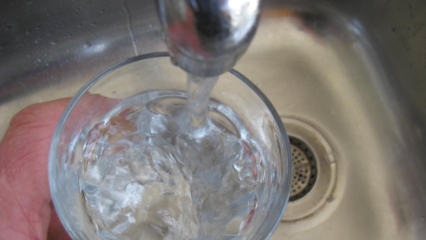 Water runs from a tap into a glass.