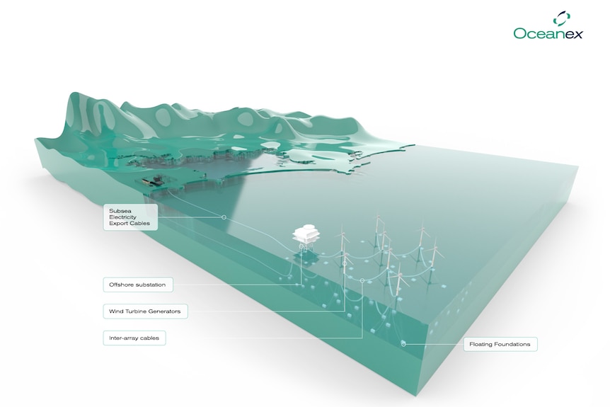 A diagram of a floating wind farm.