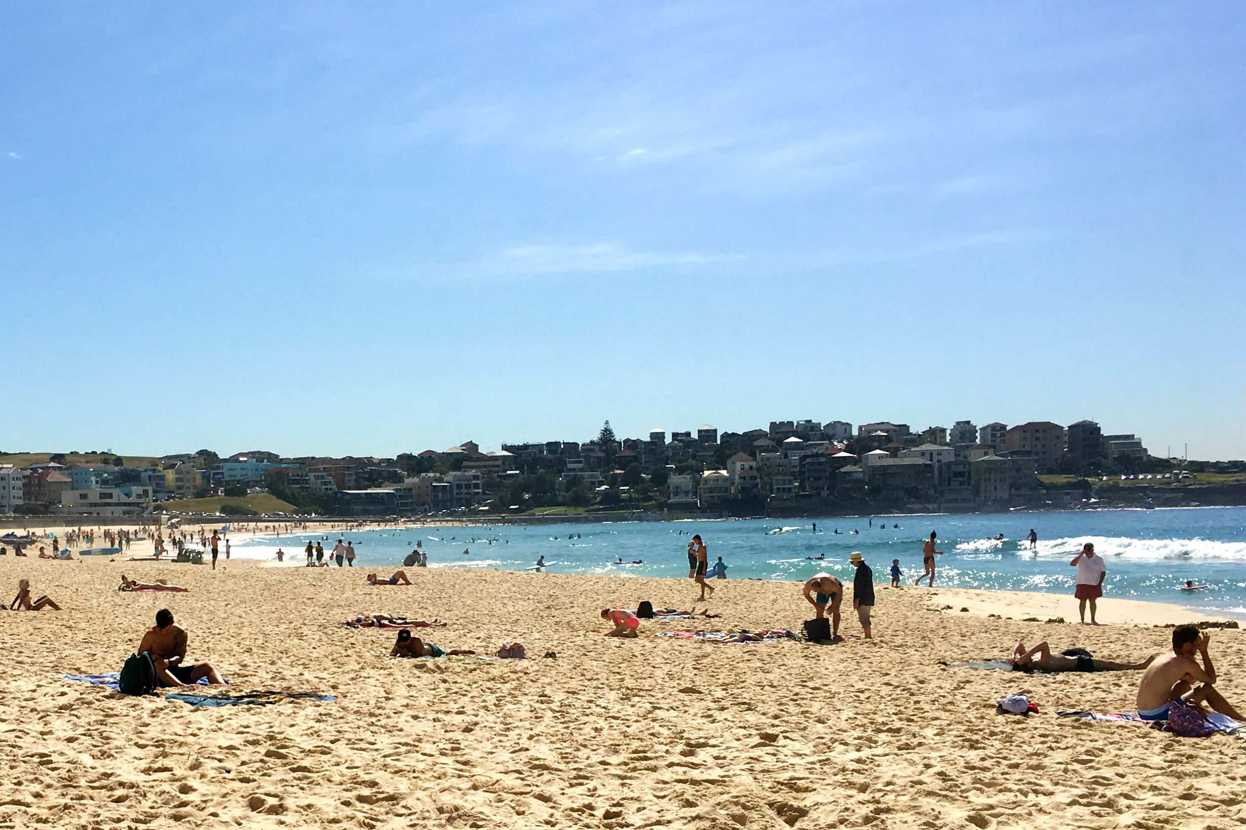 Extreme heatwave sparks total fire ban in NSW - ABC News