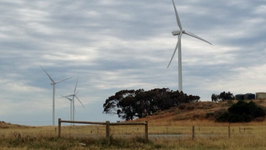 Wind turbines on a wind farm