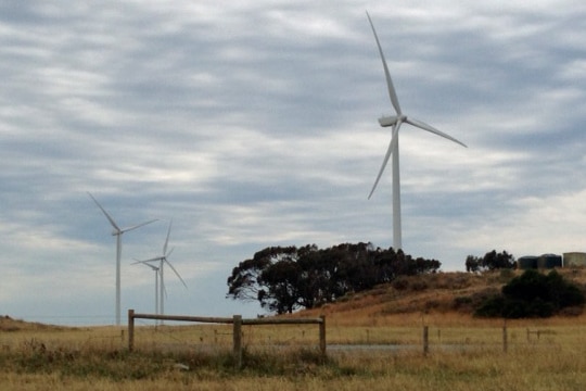 Turbines at the Musselroe wind farm in Tasmania's north-east.