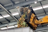 Food scraps including melon rinds and pineapple tops are dumped into the mouth of the waste to energy plant.