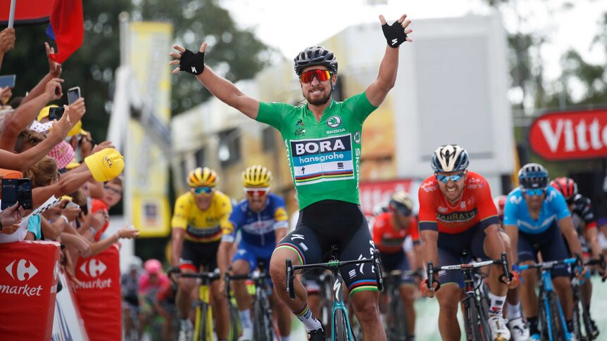 Peter Sagan, wearing the green jersey, celebrates his victory on stage five of the Tour de France.