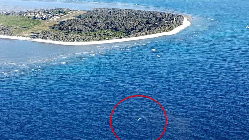 Migaloo the whale, circled in red, is a speck of white in a deep blue ocean swims off the coast of Lady Elliot Island.