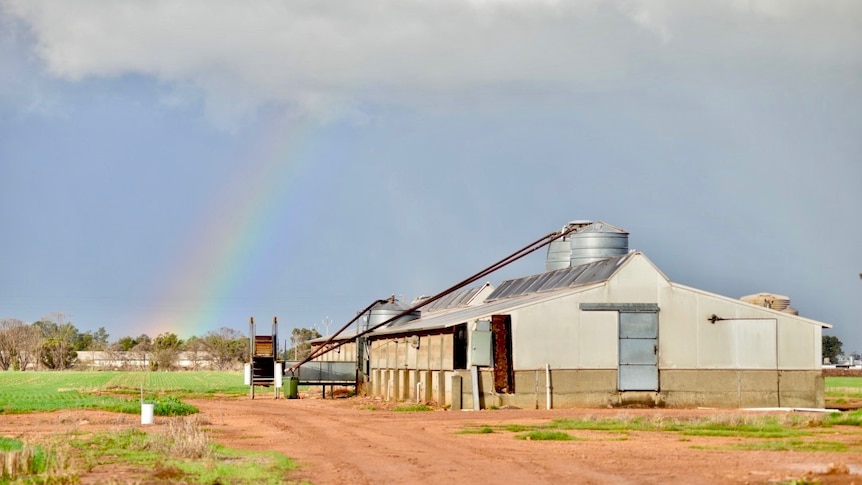 An exterior shot of a large agricultural shed in a green field with a rainbow in the background.